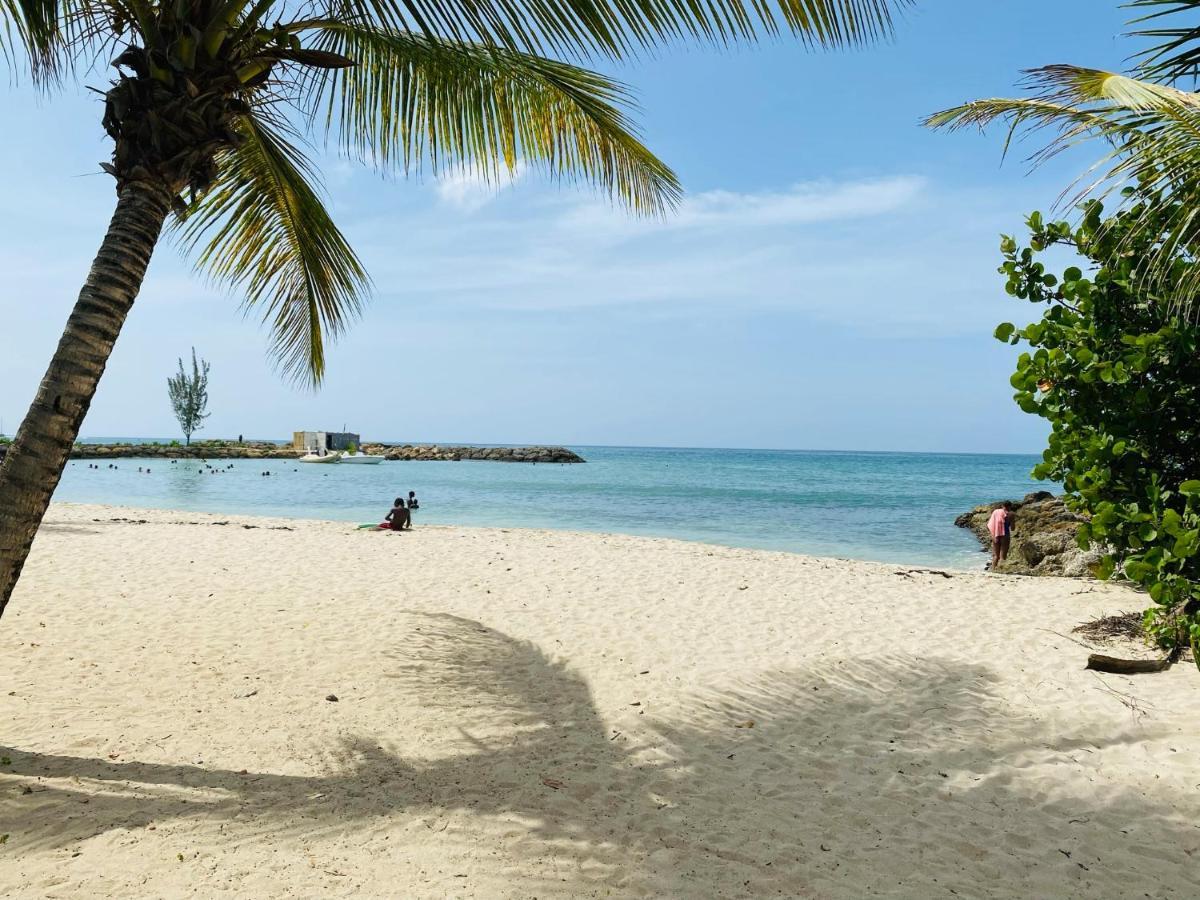 Vanille, A Proximite Des Plages, Idealement Situe Pour Visiter La Guadeloupe Le Gosier  Exterior photo